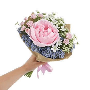 Peony Petal Harmony
