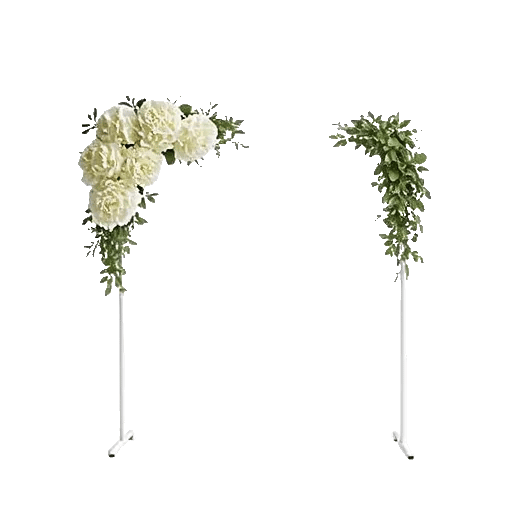 Ivory Blossom Radiance