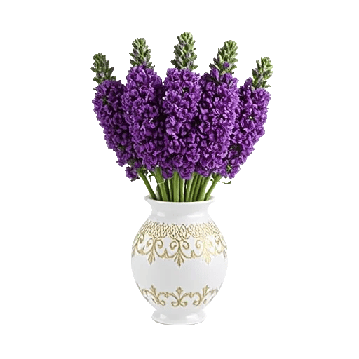 Ivory Blossom Radiance