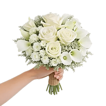Ivory Garden Grace