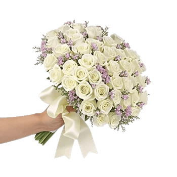 Delicate Petal Cascade