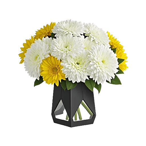 Petal Radiance Bliss