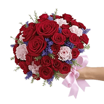 Crimson Rose Elegance