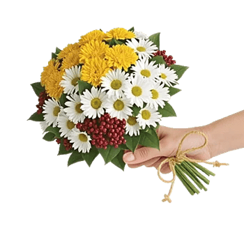 Golden Petal Harmony