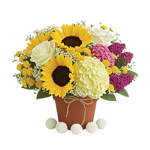 Amber Sunflower Glow