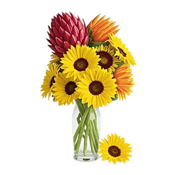 Petal Radiance Bliss