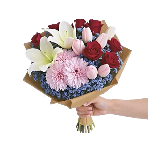 Pastel Pink Roses