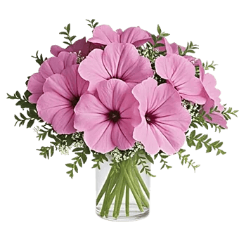 Petal Radiance Bliss