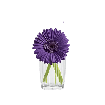 Ivory Blossom Radiance