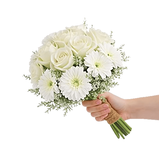 Delicate Petal Cascade