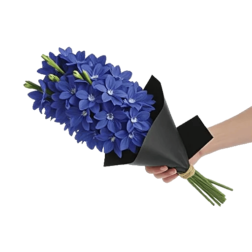 Serenity Blossom Grace