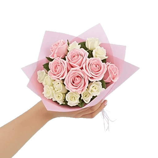 Pink Pastel Roses