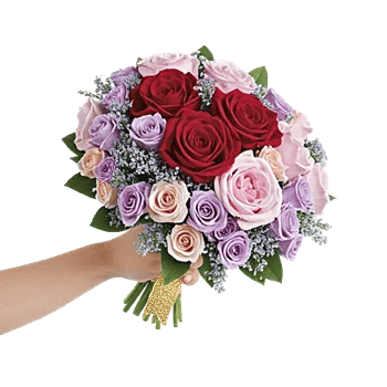 Crimson Rose Elegance