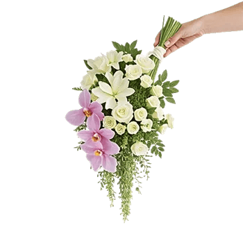 Orchid Bloom Cascade