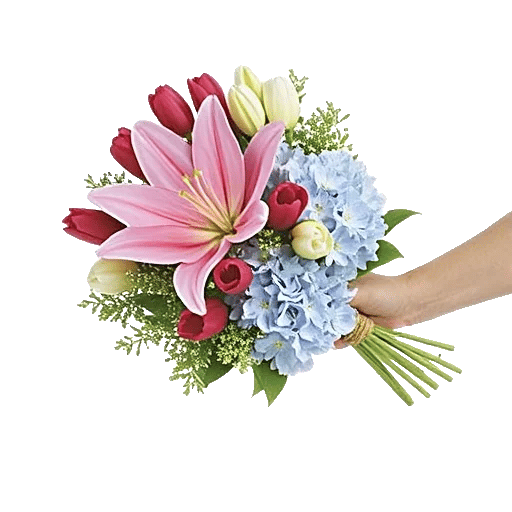 Blossom Harmony Display