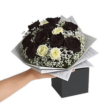 Crimson Rose Elegance