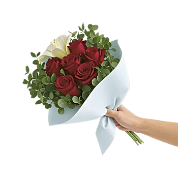 Blushing Rose Symphony