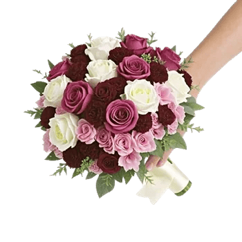 Peony Petal Harmony