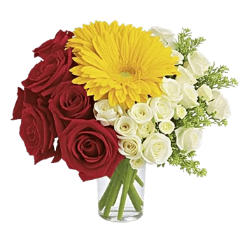 Radiant Rose Symphony