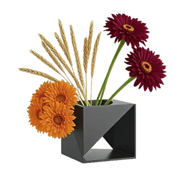 Blossom Grace Spread