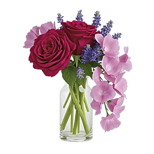 Lavender Bloom Grace