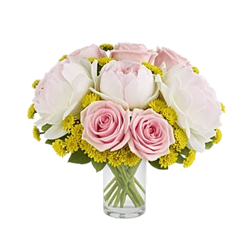 Petal Radiance Bliss