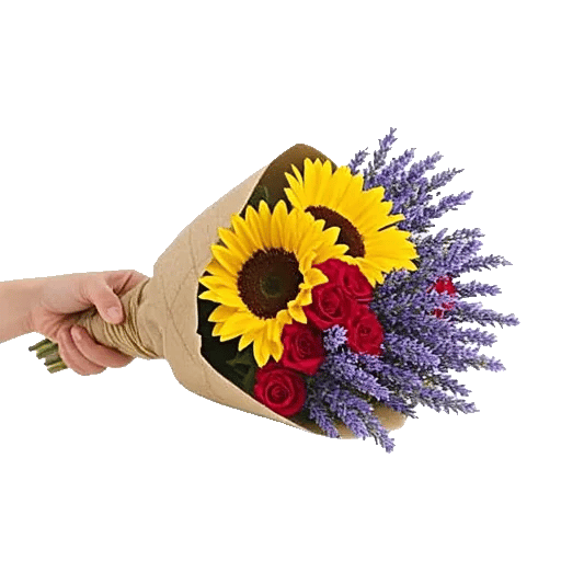 Twinkling Sunflower Dance