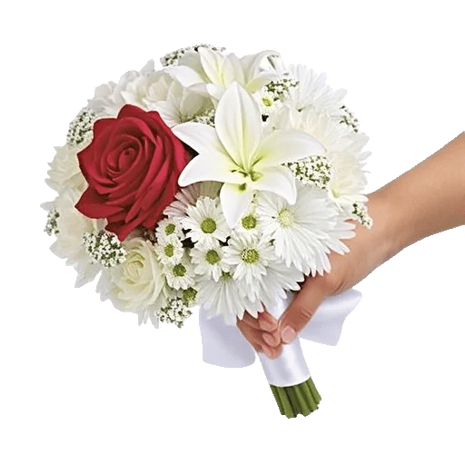 Blushing Rose Symphony