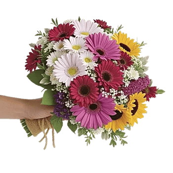 Rosemary Bloom Elegance