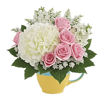 Serene Petal Harmony