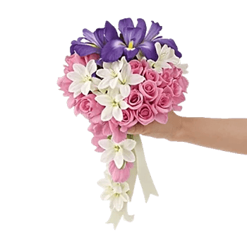 Delicate Petal Cascade