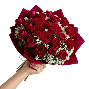 Crimson Rose Elegance