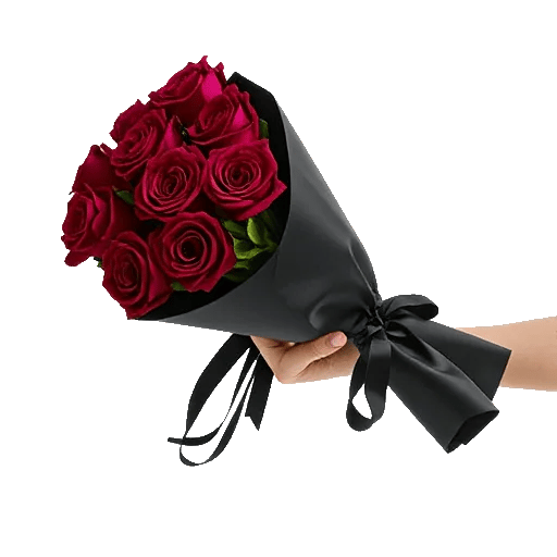 Crimson Rose Elegance