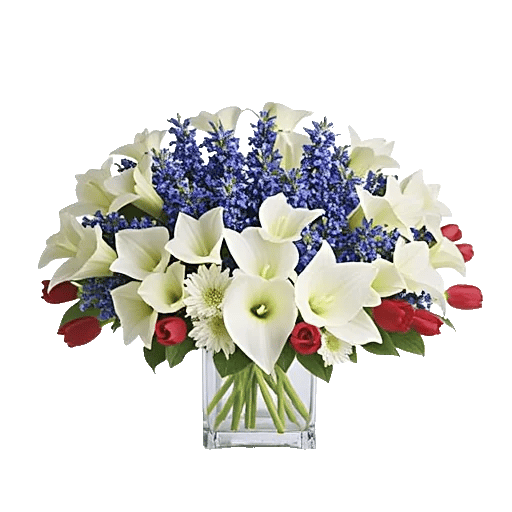 Elegant Calla Lilies