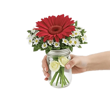 Petal Radiance Bliss