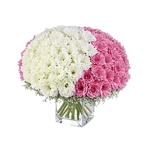 Delicate Petal Cascade