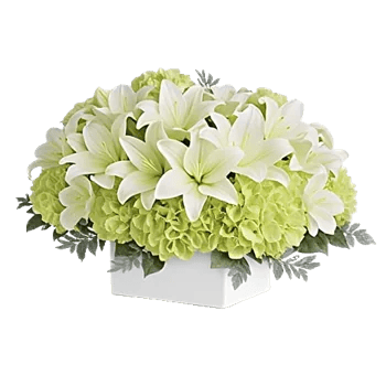 Graceful Lily Display