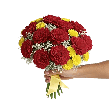 Crimson Rose Elegance