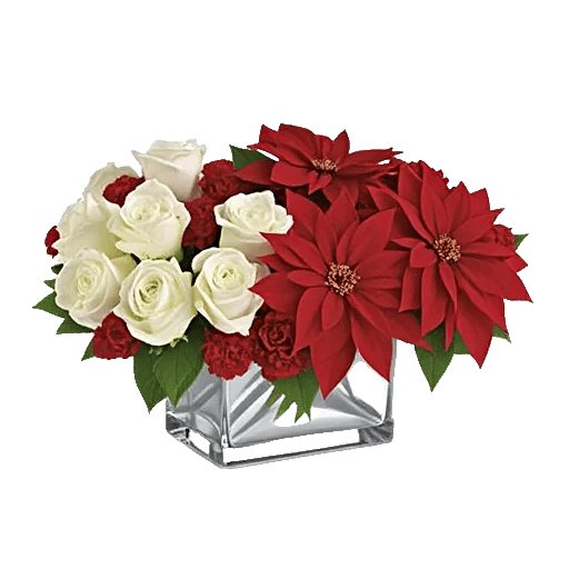 Delicate Petal Cascade