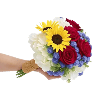 Twinkling Sunflower Dance