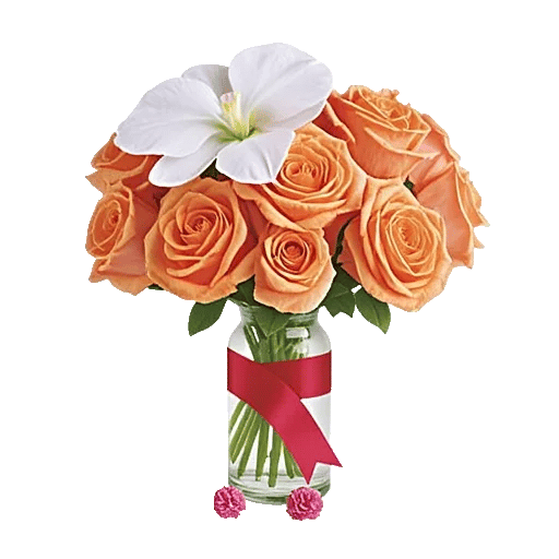 Orchid Bloom Cascade