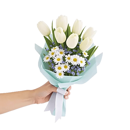 Blossom Harmony Display