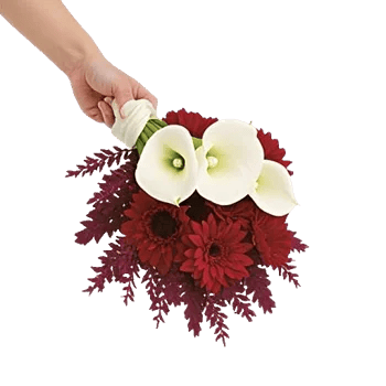 Ruby Petal Cascade