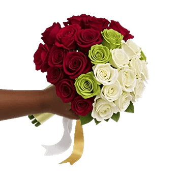 Crimson Rose Elegance