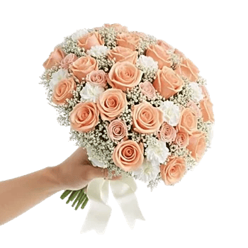 Blushing Rose Symphony