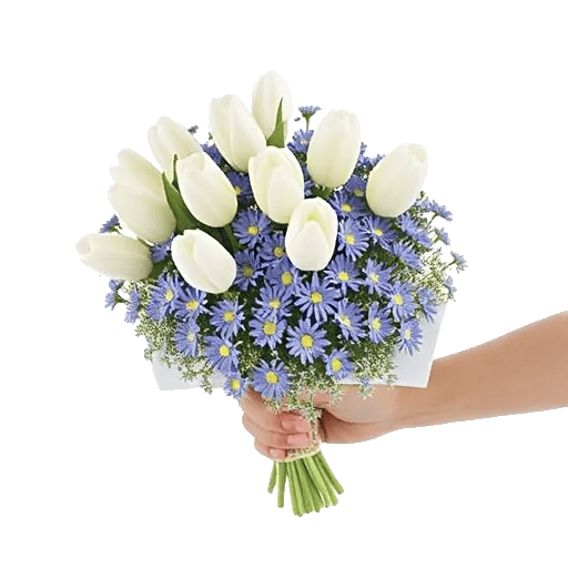 Blossom Harmony Display