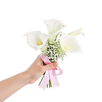 Elegant Calla Lilies