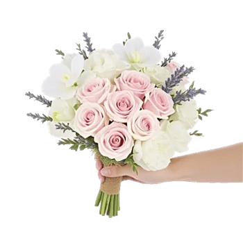 Petal Grace Harmony