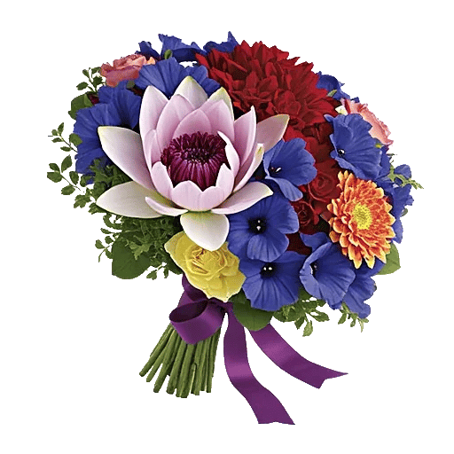 Ivory Blossom Radiance