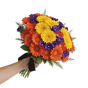 Golden Petal Harmony